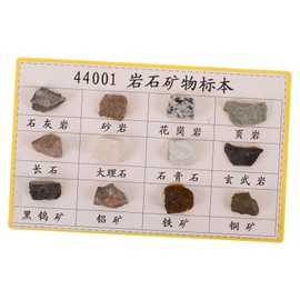 Mobestech Educational Mineral Rocks Collection 12 Specimens Portable Set Geology Study Classroom Use Ideal Present
