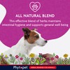 Phytopet Wormwood Complex, All Natural Pet Remedy Intestinal Hygiene, Health