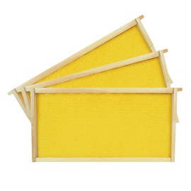 HiveSweet Deep Brood Beehive Frames with Wax Foundation 10pack Beehive Frames Beeswax Dipped Plastic Foundations for Beekeeping 9-1/8-Inch