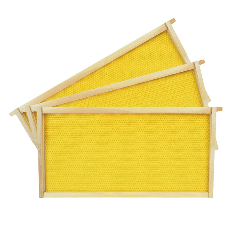 HiveSweet Deep Brood Beehive Frames with Wax Foundation 10pack Beehive