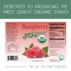 Joe’s Syrup Organic Flavored Syrup, Organic Raspberry, 750 ml
