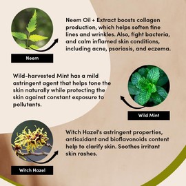 Urban Veda Purifying Face Wash | Clarifying & Detoxifying| Simple Face Wash for pimple and acne prone skin |Cooling & Refreshing Gentle Face Wash for Men & Women | For oily and combination skin|150 ML