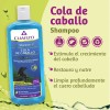 Shampoo Cola De Caballo Y Keratina Crecimiento Capilar 550 ml