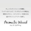 Tan Shampoo (Aroma Wood (High Moisturizing) New