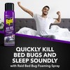 Raid Bed Bug Foaming Spray, Kills Bed Bugs and Their
