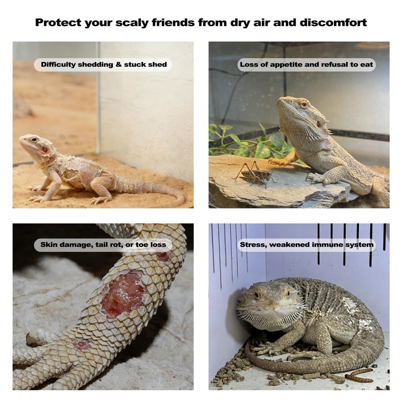 J&A Reptile Mister, Automatic Misting System for Terrarium with Adjustable