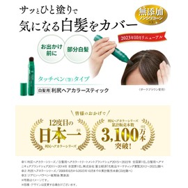 Sastty [For Gray Hair] Rishiri Hair Color Stick (Natural Brown)