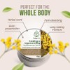 Helichrysum Italicum Salve, 1.7oz/50ml