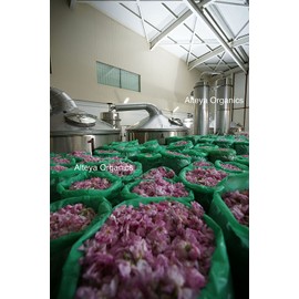 Alteya Organics USDA Organic Rose Bud Tea