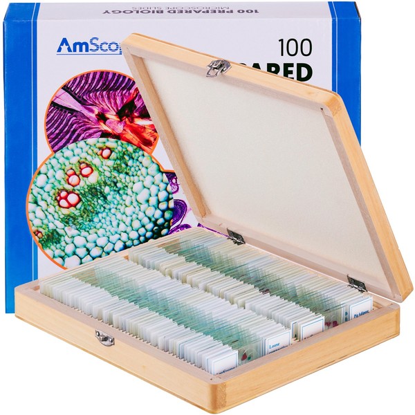 AmScope PS100E 100 Homeschool Biology Prepared Microscope Slides - Set E