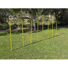 BlueDot Trading Soccer Agility Training Poles for Multi-Sport Outdoor Games, Exercise, Agility and Speed Training, Collapsible, 6ft (8pc)