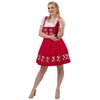 Dirndl Trachten Haus Red Short Bavarian Dirndl Dress Set For