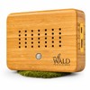 Premium Birdsong Box Made of Real Solid Bamboo Wood -