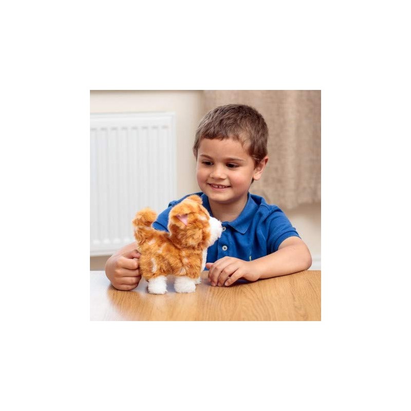 Tobar 35405 ANIMIGOS Ginger Kitten, Mixed