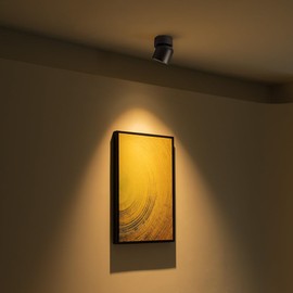 Aisilan Ceiling Spot Light, 7W Dimmable LED Spotlight Indoor, Black Wall Surface Mounted Spotlight Fixtures, 360°Adjustable Directional Lighting for Home Picture Bedroom, 3000K, CRI 97+