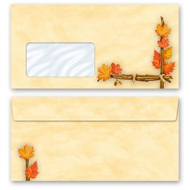 Envelopes Seasons Autumn Gold 10 Envelopes (with Window) DIN Long (220 x 110 mm) Paper-Media