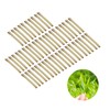 50pcs Tea Stem Stud Earrings Prevent Inflammation Tea Rod Curing