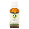 R V Essential Pure Anise Essential Oil 100ml (3.38oz)- Pimpinella