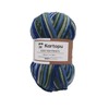 Sock Wool, 6-Ply Colour, Sock Wool Set, 4 x 150