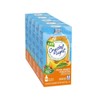 Crystal Light On The Go Peach Mango Green Tea Drink