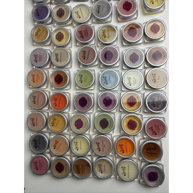 Scentsy Testers (10 Random Testers) Assorted Scents Mini Samples Testers