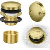 Tip-Toe Bathtub Drain Kit with Two-Hole Overflow Plate, Premium Quality