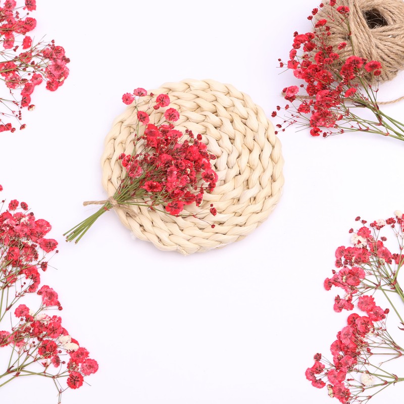 LYFORTZY 30 Pcs Red Baby's Breath Real Dried Pressed Flowers.Vacuum-Packed