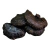 120 Caps Hongo Reishi Negro