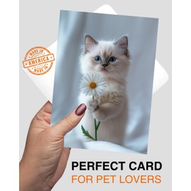 CATNEVERLAND Ragdoll Kitten with Daisy Greeting Card Cute Blue-Eyed Cat Blank Card for Pet Lovers, Premium 5x7 Stationery with Envelope – Made in USA by Pet-Friendly Business