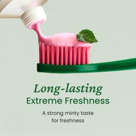 EUTHYMOL Original Pink Toothpaste (3.7fl oz/Pack of 1) - Fluoride-Free Toothpaste for Sensitive Teeth & Gum. Bad Breath, Cavity Prevention, 12-Hour Long Lasting Freshness with Wintergreen