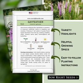 Sow Right Seeds - Gayfeather Liatris Spicata Flower Seed for Planting - Beautiful Flowers to Plant in Your Garden - Non-GMO Heirloom Seeds - Blooms Attract Bees and Butterflies - Great Gift (1)