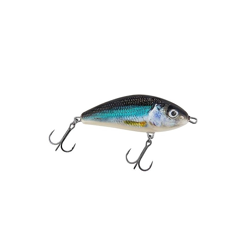 Salmo Fatso 10 cm 48g Floating Jerkbait Wobbler, Salmo Colours: