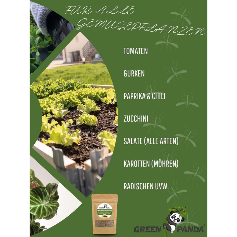 GreenPanda Fungus Gnats Remedy - 250 g Substrate for Fighting