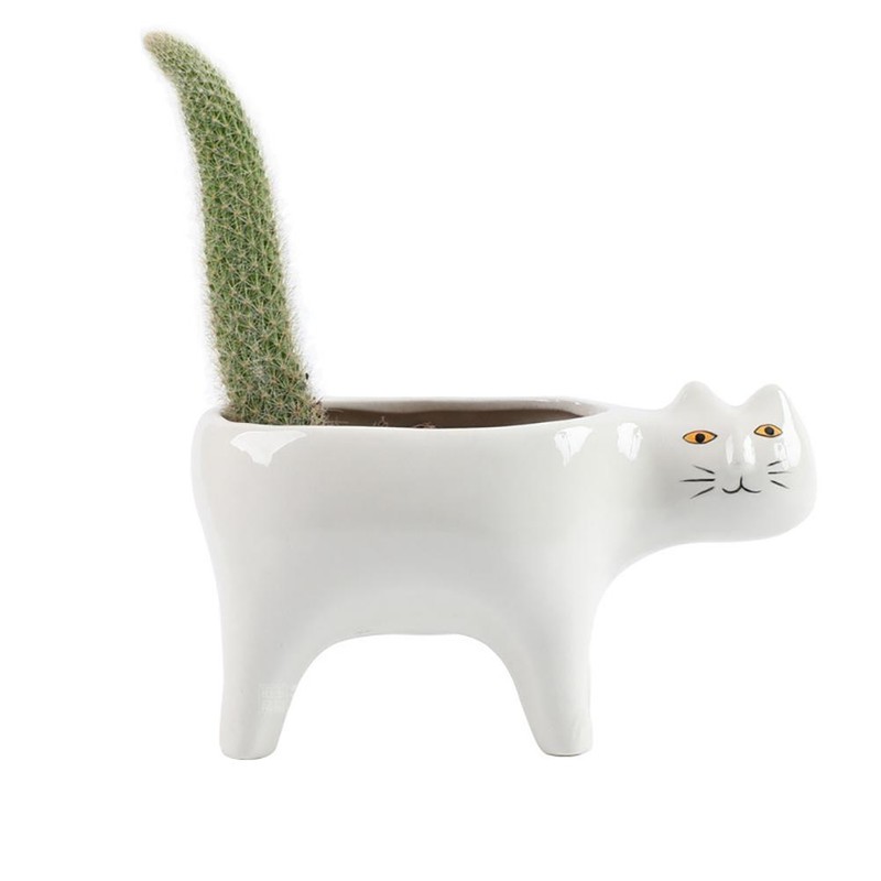 Succulent Planter with Drainage Cat Ceramic Garden Pot Cactus Planter
