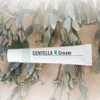 Ronas Centella K Cream Soothing Cream 20g + 1 Ronas