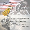 Dea Bona Good Luck Keychain Key Ring, Brass, Good Luck,