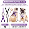 Saintrygo 2 Pcs Dog Suspenders for Diapers Female Male Belly