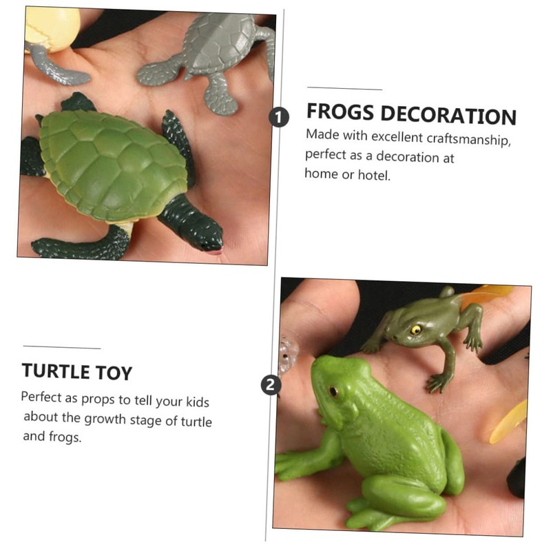 CIYODO 2 Sets Creative Simulation Frog Turtle Growth Model Animal