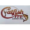 Catfish Pro Catfish Bait Fishing Decal Sticker Logo for Windows