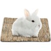 SunGrow Rabbit, Leopard Gecko & Guinea Pig Grass Chew Mat,