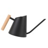 Watering Can with Long Spout 800ml Stainless Steel Matte Indoor