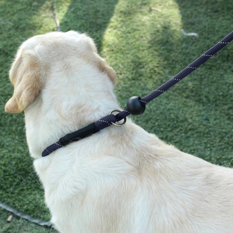 Hiado Slip Lead Dog Leash Reflective with Stopper Loop Rope