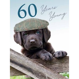 Noel Tatt - 60th Male Birthday Card - 60 Years Young Puppy Wearing Flat Cap - For Him, 172 x 125 mm