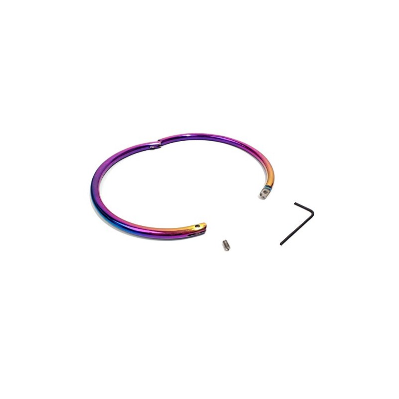 14" Rainbow Eternity Collar Slave Day Collar