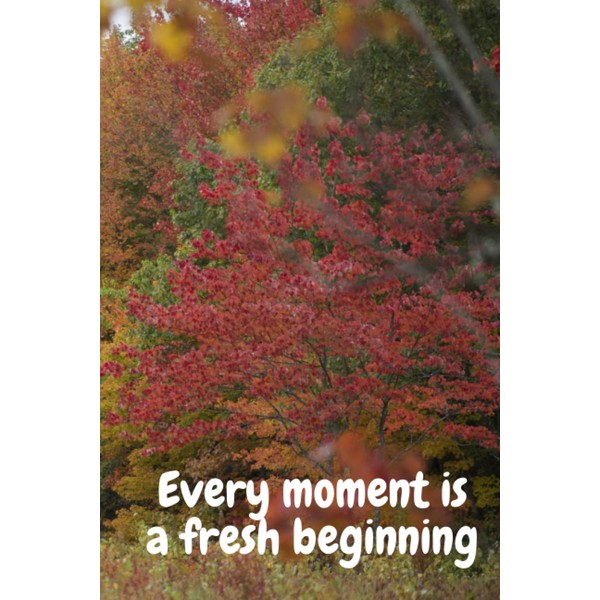 Every moment is a fresh beginning.: Daily planner notebook, Day