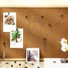 Shimeyao 30 Pieces Push Pin Hooks Push Pin Hangers 20