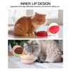 Ceramic Raised Cat Bowl, 2 in 1 Elevated Cat Food