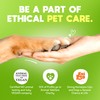 Lick-Safe Pet Wipes for Dogs & Cats - Vet-Approved &