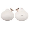 Mist Humidifier Small Onion Shape USB Lighting Quiet Small Air
