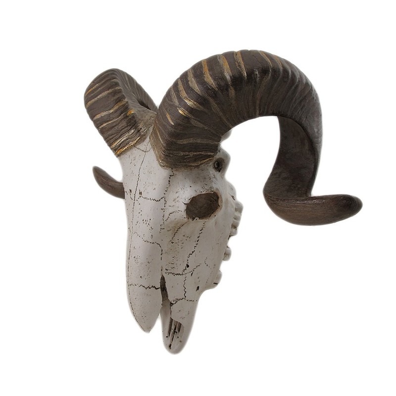 Deco 79 Polystone Sheep Home Wall Decor Skull Wall Sculpture,